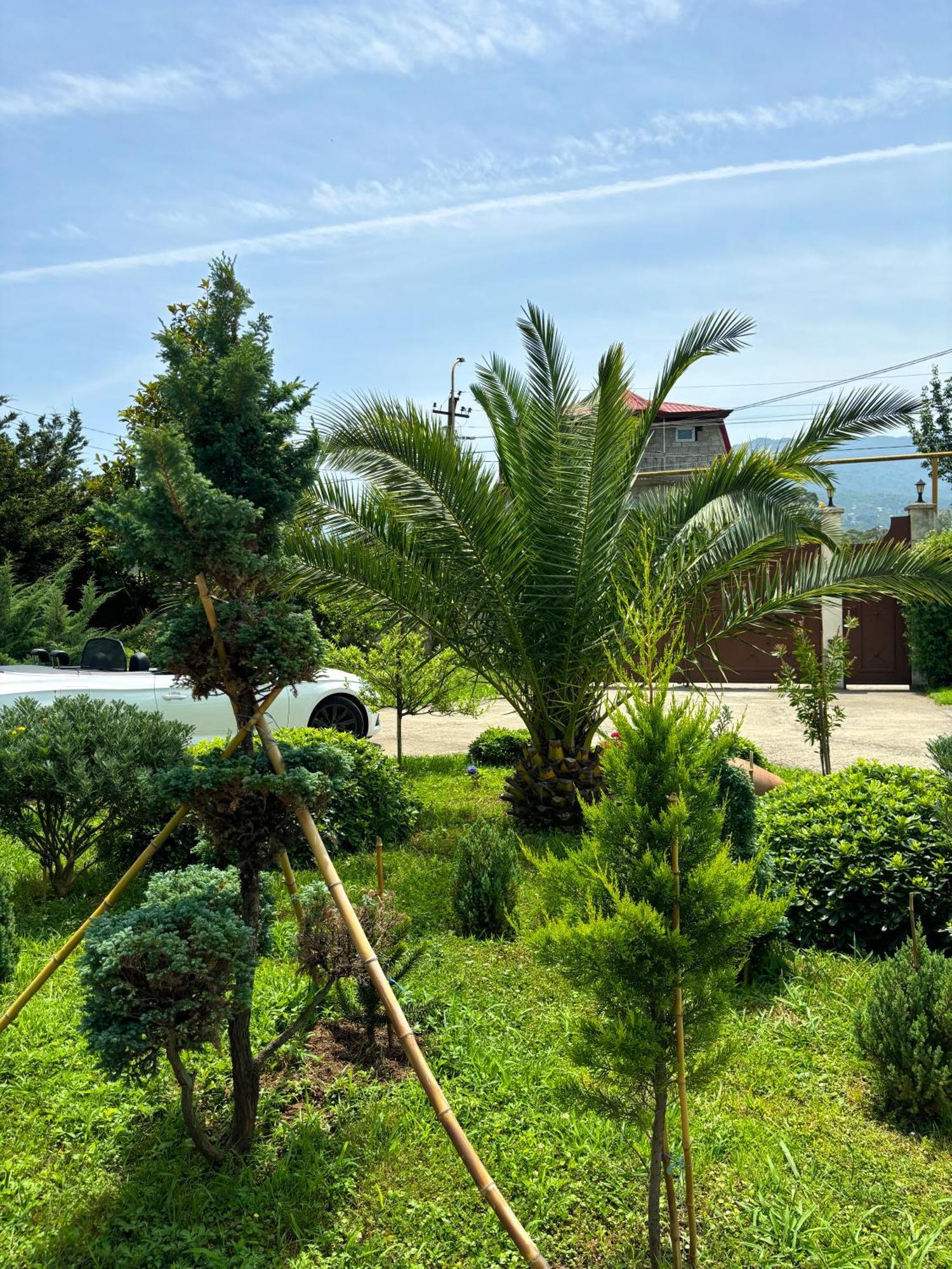 Villa Qero Μπατούμι Εξωτερικό φωτογραφία